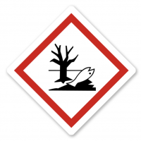 Schild Zertifikat Zertifikat